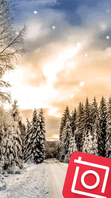Featured image of post Snowy Forest Wallpaper Gif Choose from 33000 snow graphic resources and download in the form of png eps ai or psd